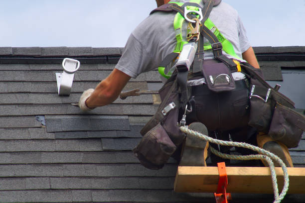 Best Roof Gutter Cleaning  in Lake City, FL