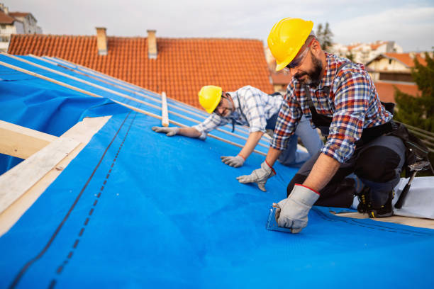 Best Flat Roof Repair Services  in Lake City, FL
